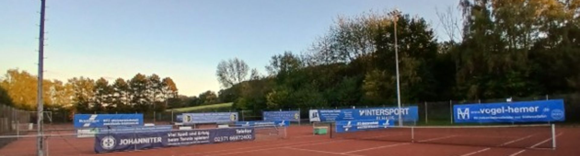 Tennisplatz mit Bäumen im Hintergrund